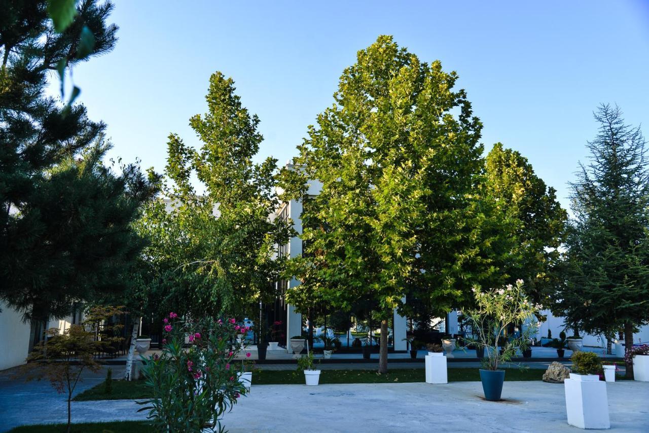 Mesecev Konak Bed and Breakfast Ni Zewnętrze zdjęcie