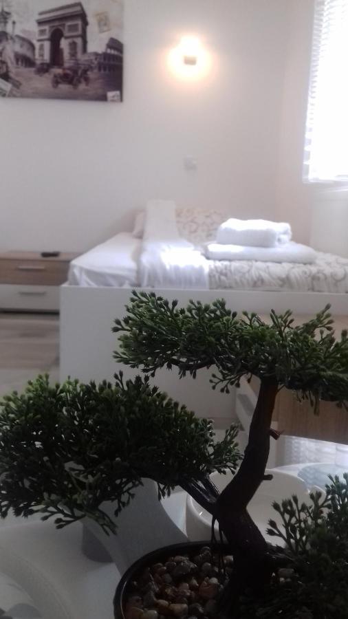 Mesecev Konak Bed and Breakfast Ni Zewnętrze zdjęcie