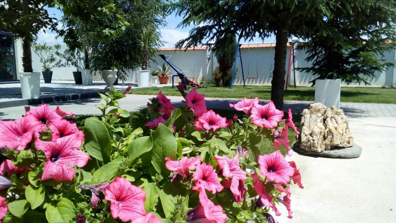 Mesecev Konak Bed and Breakfast Ni Zewnętrze zdjęcie