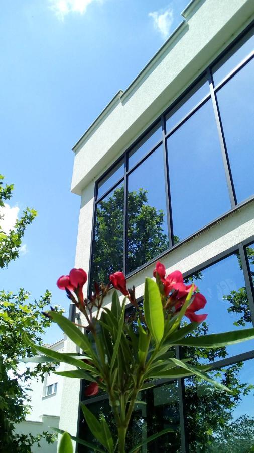 Mesecev Konak Bed and Breakfast Ni Zewnętrze zdjęcie