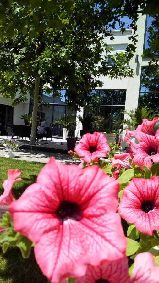 Mesecev Konak Bed and Breakfast Ni Zewnętrze zdjęcie
